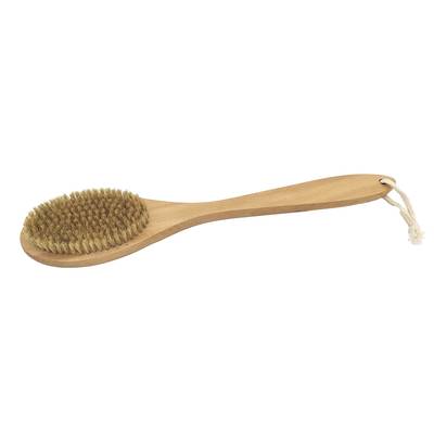 Arvix Brosse à dos Bois, 1 brosse