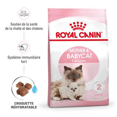 Royal Canin Croquettes Mother & Babycat Système Immunitaire Fort pour Chatte et Chaton, 2kg