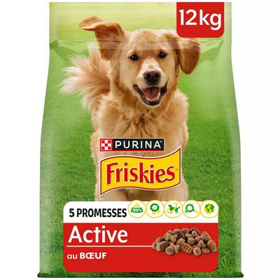 8445290975713 - Purina - Friskies - Croquettes Boeuf Active pour chien adulte
