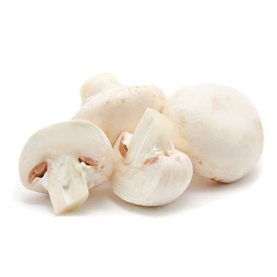 Champignon Blanc