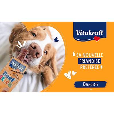 4008239120816 - Vitakraft Beef Stick - Bâtonnets Gibier - Friandise récompense pour chien
