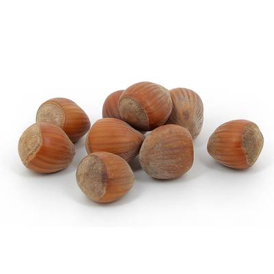 Noisette fraiche, Barquette de 250g