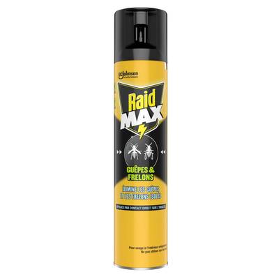 Raid Anti-Guêpes Aérosol Action Foudroyante et Frelons, 300ml