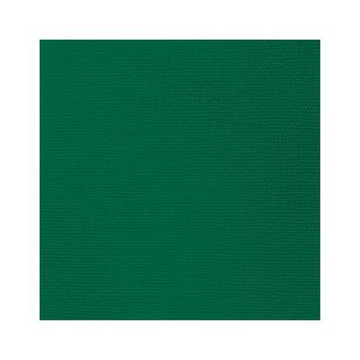 Paperproducts Design Serviettes en papier Vert foncé, 20 serviettes de 33 x 33 cm