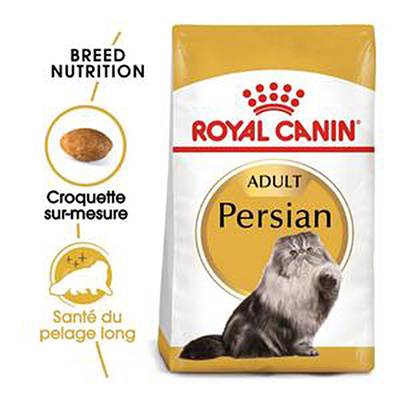 3182550702621 - Royal Canin - Croquettes sur mesure Santé du Pelage Long pour Chat Persan Adulte