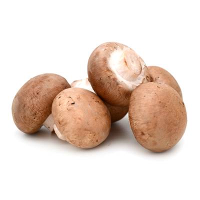Les Paysans Bio Champignon Blond Bio, Barquette de 200g