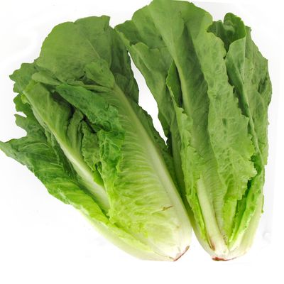 Salade Romaine, 2 pièces