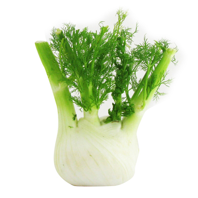 3664641006431 - Les Paysans Bio - Fenouil bio