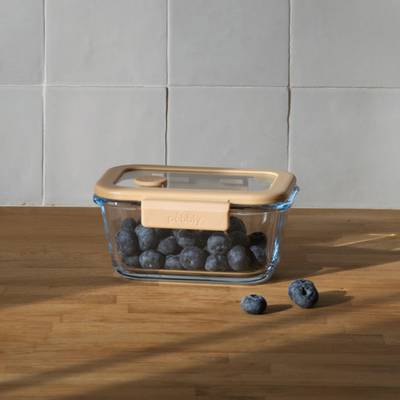 Pebbly Boîte rectangulaire en verre sous-vide, 460ml