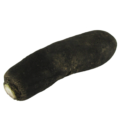 2050000285851 - - Radis noir