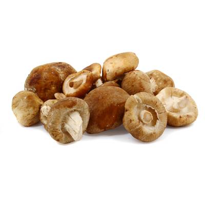 Champignon Shii Take, Barquette de 200g