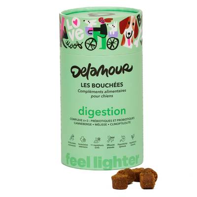 Delamour 90 Bouchées Digestion - Compléments alimentaires pour chien, 270g