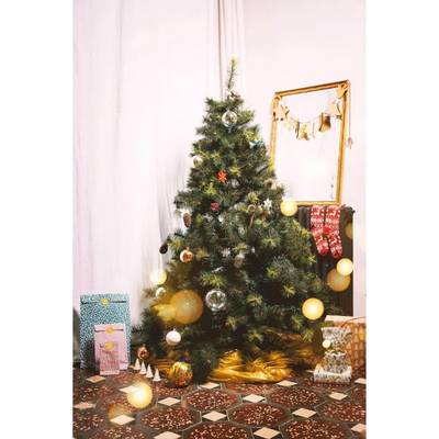 3566640000239 - Handicap International - Sac à sapin