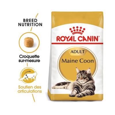 Royal Canin Croquettes sur mesure Soutien des Articulations pour Chat Maine Coon Adulte, 2kg