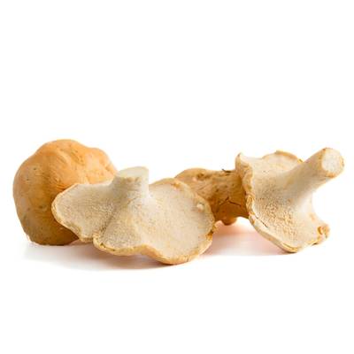 Paris Saveurs Champignon Pied-de-Mouton, Barquette de 200g