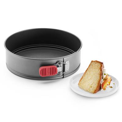 Lékué Moule gâteau antiadhésif amovible 24 cm, 24 cm
