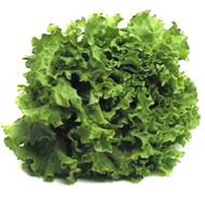 Les Saveurs De Chailly Salade Batavia, 1 pièce