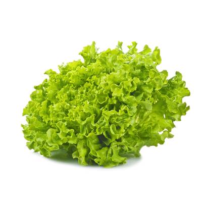 Les Saveurs De Chailly Salade Batavia, 1 pièce