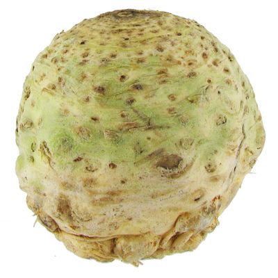 Céleri Rave, 1 pièce, environ 800g