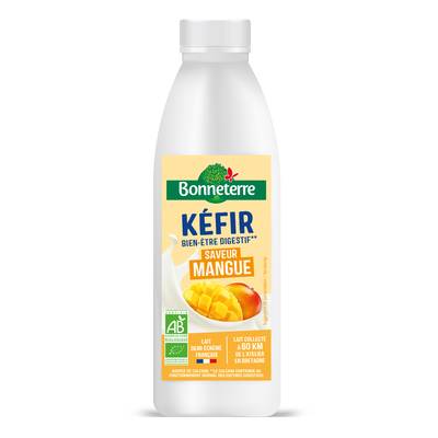 Bonneterre Kéfir saveur Mangue Bio, 500g