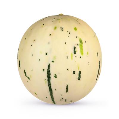 Melon Crocky, 1 Pièce