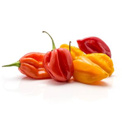 Piment Antillais, Colis de 500g