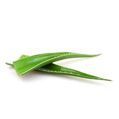 Les Paysans Bio Aloé Vera Bio, 1 Pièce