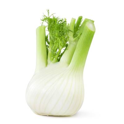 Fenouil, 1 pièce
