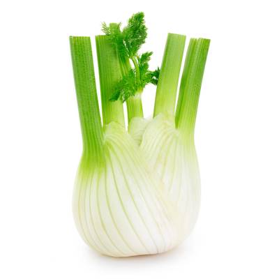 Fenouil, 1 Pièce