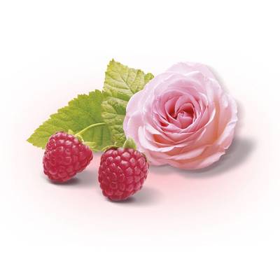 7613035409057 - Special T By Nestle - Thé rose amour