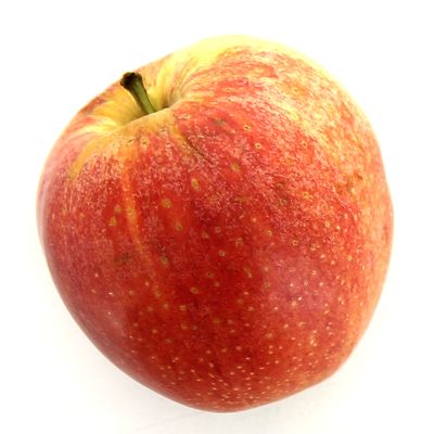 3760190650160 - Les Paysans Bio - Pomme Juliet bio