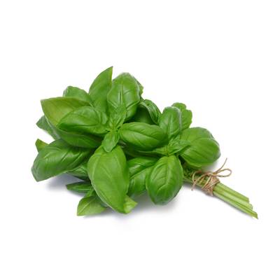 Basilic, Sachet de 30g
