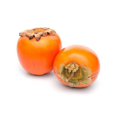 3770007559562 - Oxa-Exotic - Kaki 