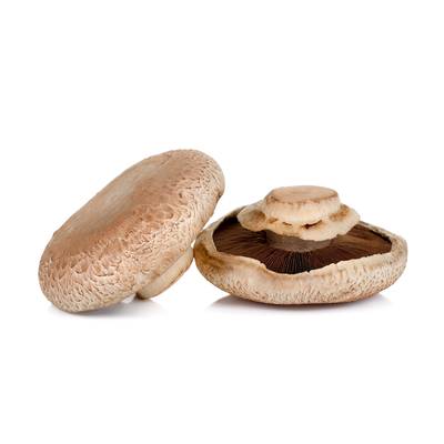 Champignon Portobello