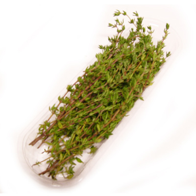 3760270390269 - - Thym frais