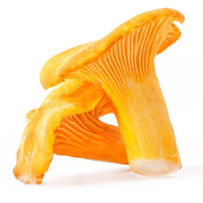 Paris Saveurs Champignon Girolle, Barquette de 200g