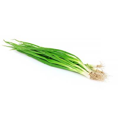 Oignon cébette botte, 1  botte, environ 100g
