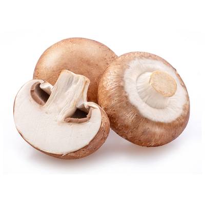 Calegari Champignon Rosé, Barquette de 500g