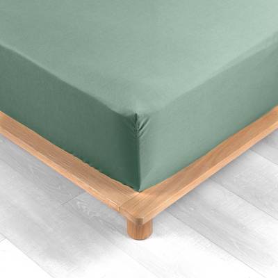 Douceur D Interieur Drap housse tileule 2 personnes, 160 x 200 cm
