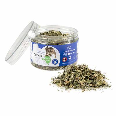 Duvo Plus Herbe à chat Catnip, 30g