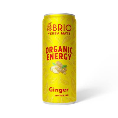 7649996848673 - Brio Mate - Boisson énergisante Gingembre Bio
