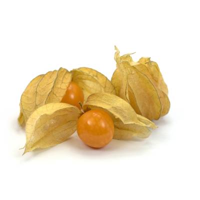 Oxa-Exotic Physalis, Barquette de 100g