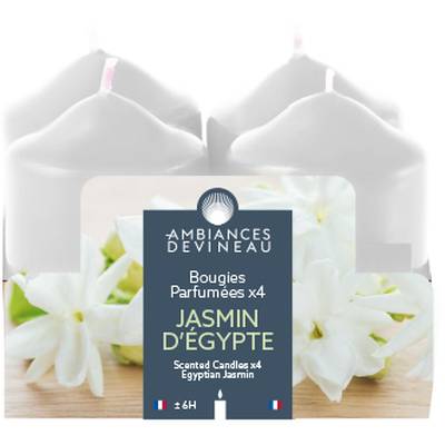 Ambiances Devineau 4 bougies parfum Jasmin d'Egypte, 5,6 cm