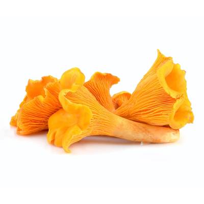 Champignon Chanterelle Jaune