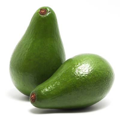 Avocat Tropical avion (gros), 1 pièce