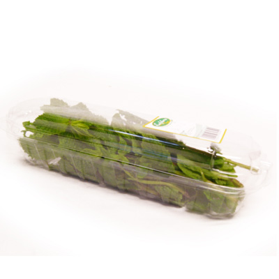 3398301015050 - - Menthe
