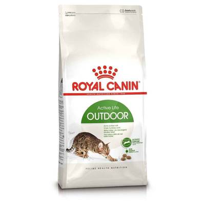 3182550707381 - Royal Canin - Croquettes Outdoor Active Life Soutien de l'Activité pour Chat Adulte d'Extérieur