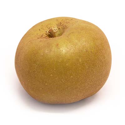 2050000332982 - Mouneyrac - Pomme Canada Grise