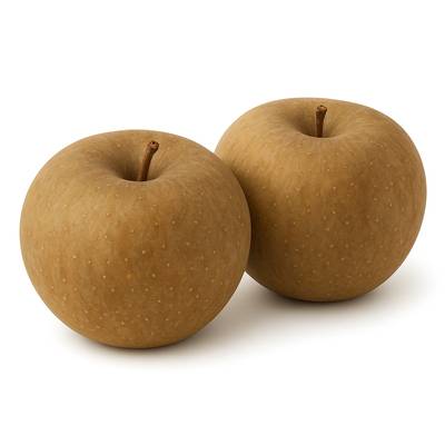 Mouneyrac Pomme Canada Grise