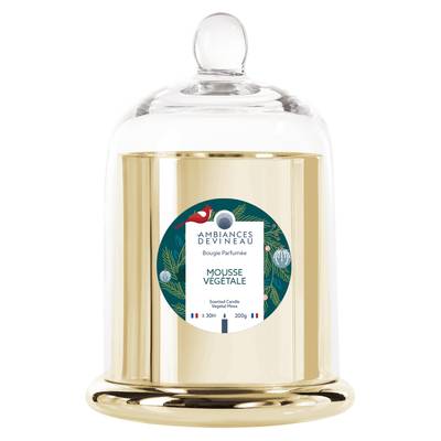 Ambiances Devineau Bonbonnière or métalisé Mousse végétal, 200g